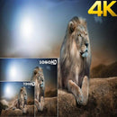 Android Tv Box 4k Vontar X1